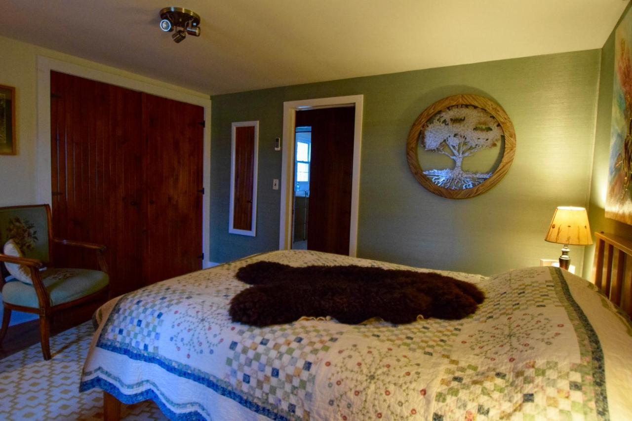 Enfield Manor Bed&Breakfast And Vacation Rental Newfield Exteriör bild