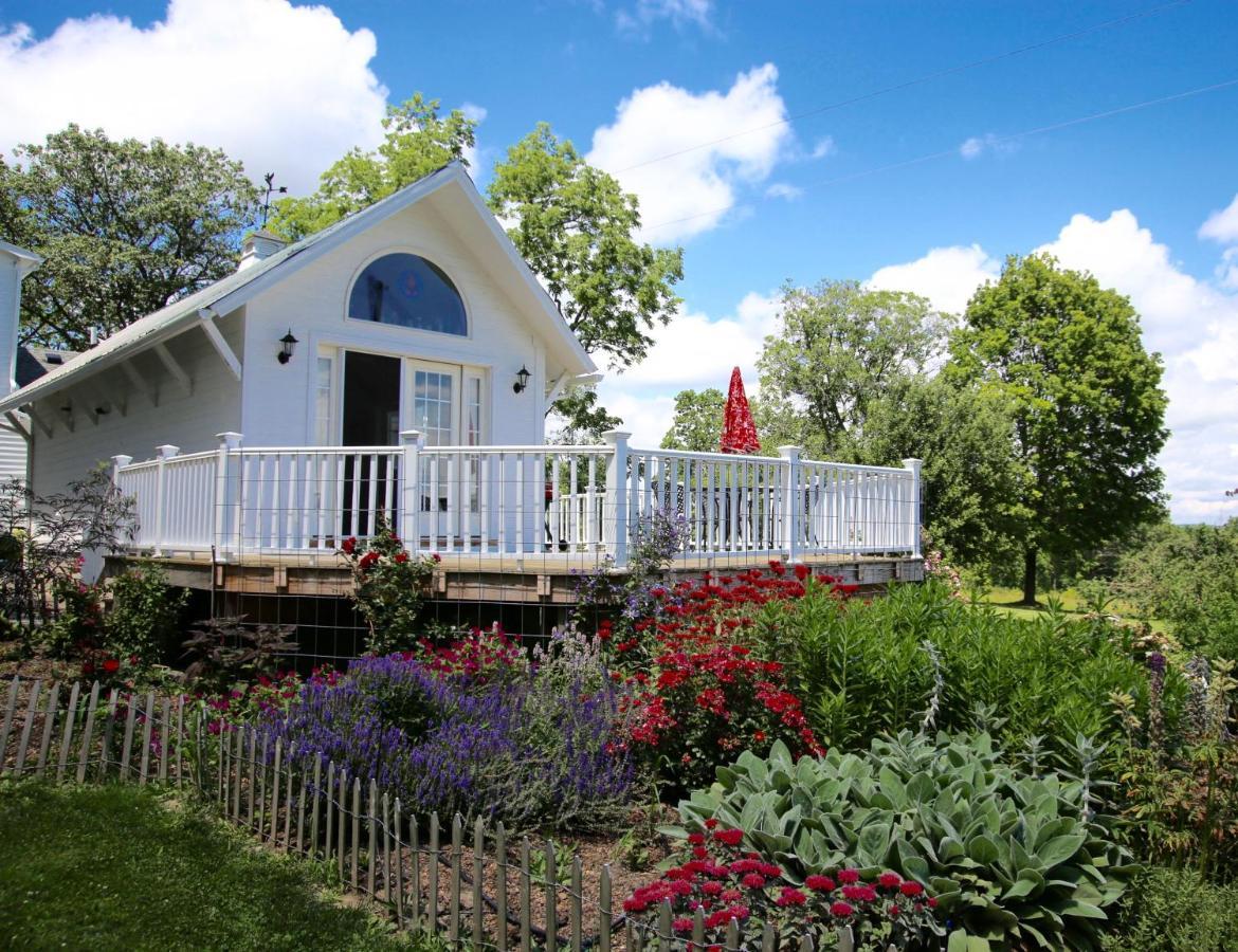 Enfield Manor Bed&Breakfast And Vacation Rental Newfield Exteriör bild